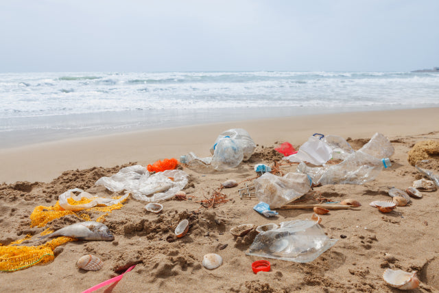 海岸に打ち上げられたペットボトルごみ 環境問題の象徴