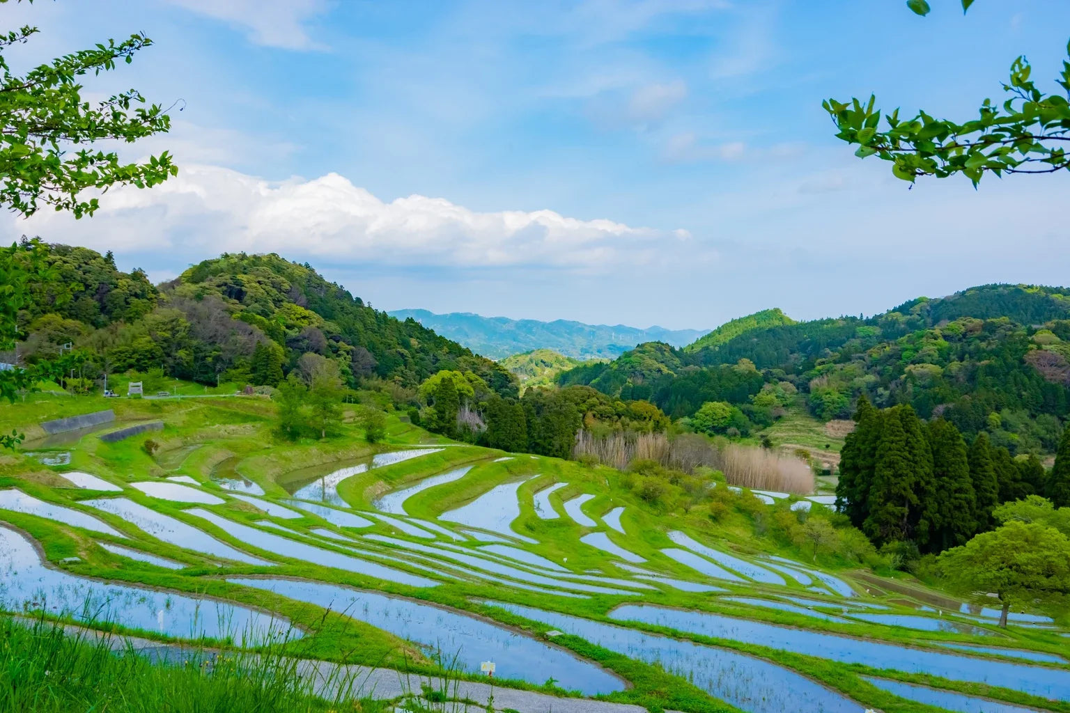 Japanese rice terraces representing soft water culture