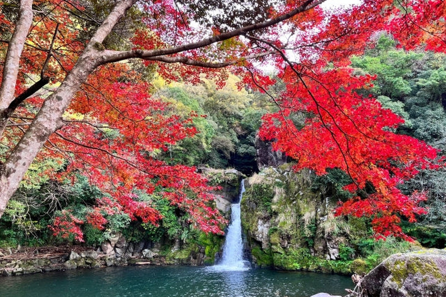 さつま町を代表する景勝地で、季節によって滝壺が深い青に変化。紅葉シーズンの象徴的スポット。