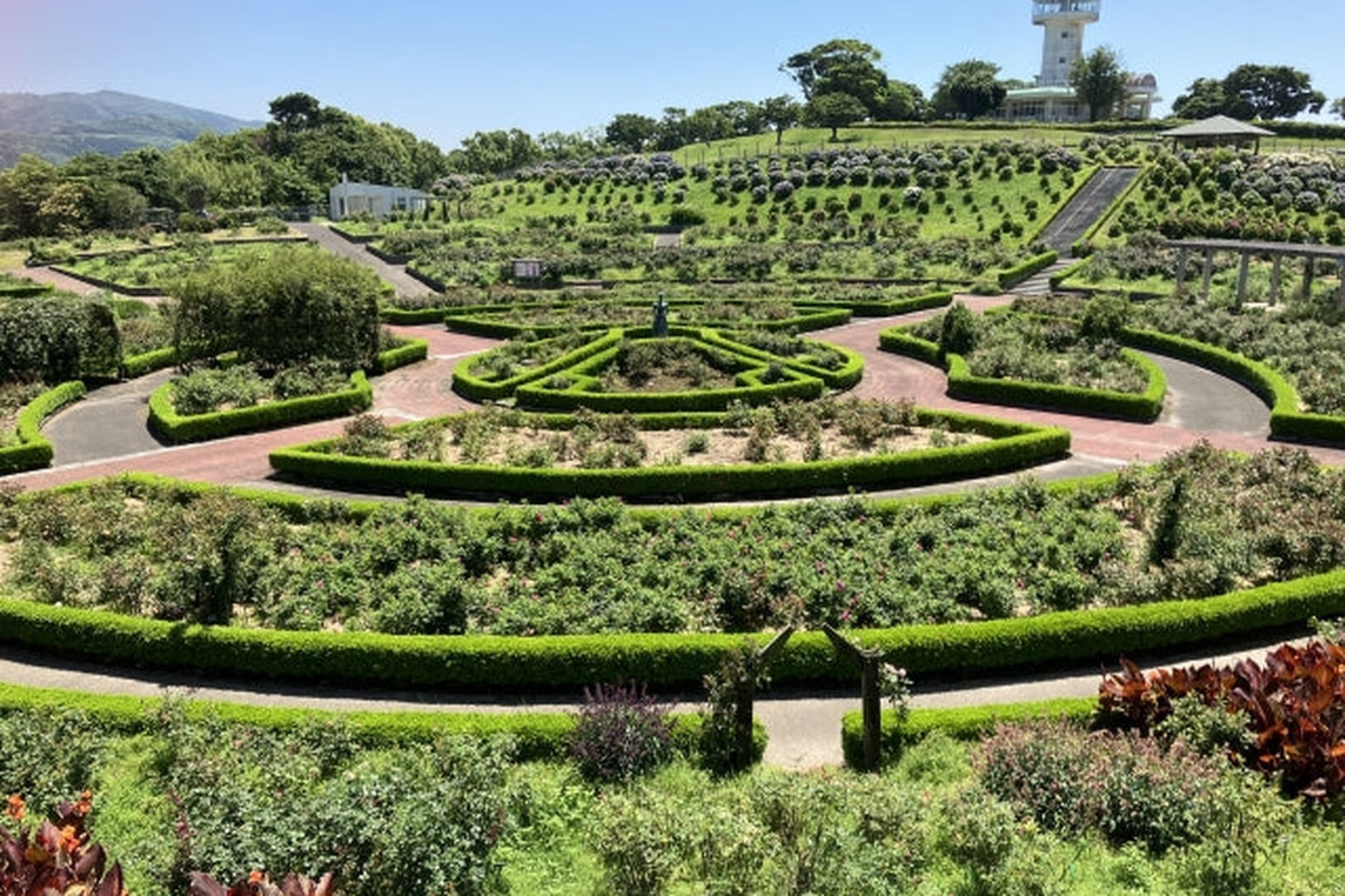 Kanoya Rose Garden in Kagoshima’s Osumi Peninsula — symbolizing the harmony between people, nature, and water in Japan’s wellness culture.