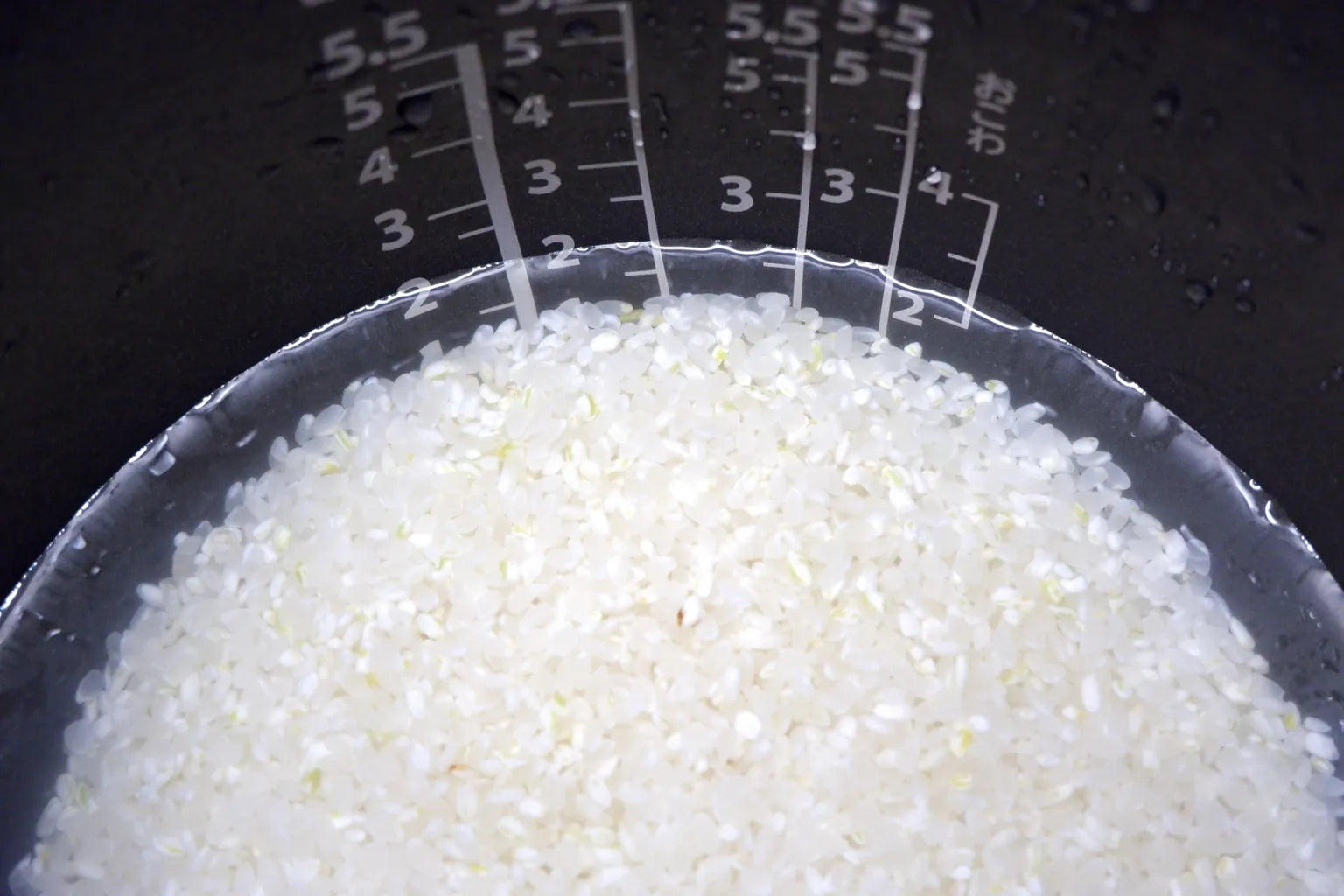 炊飯器の中で水を吸うお米の様子