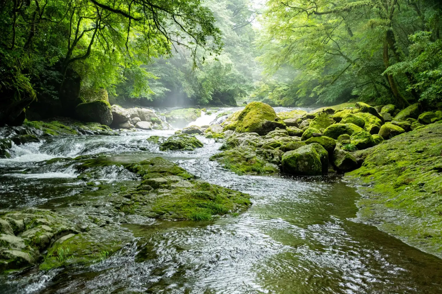 A clear forest stream in Japan expressing the purity and softness of japanese soft water by ONSENSUI99.