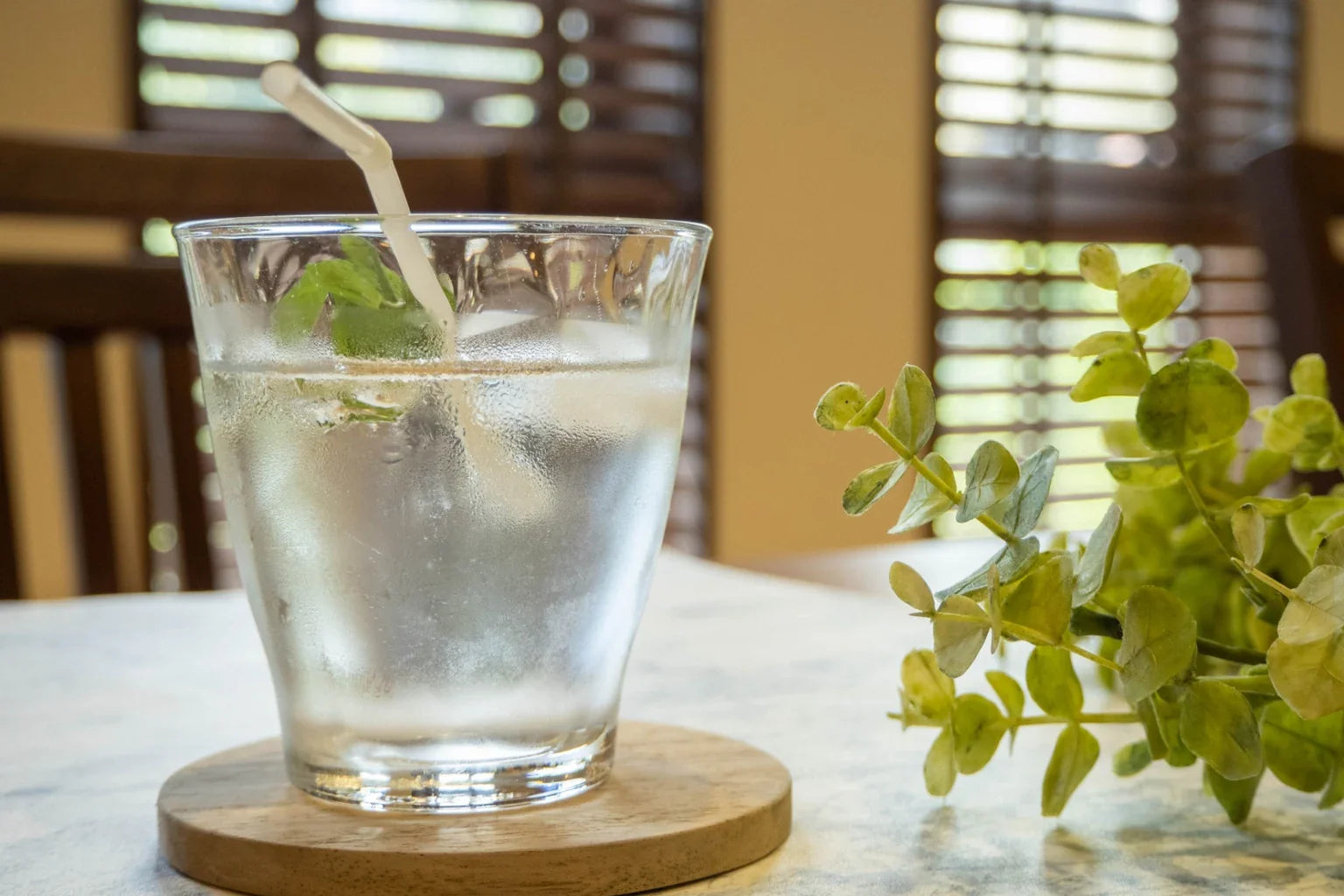 Refreshing glass of cold drinking water with mint on table in natural cafe setting