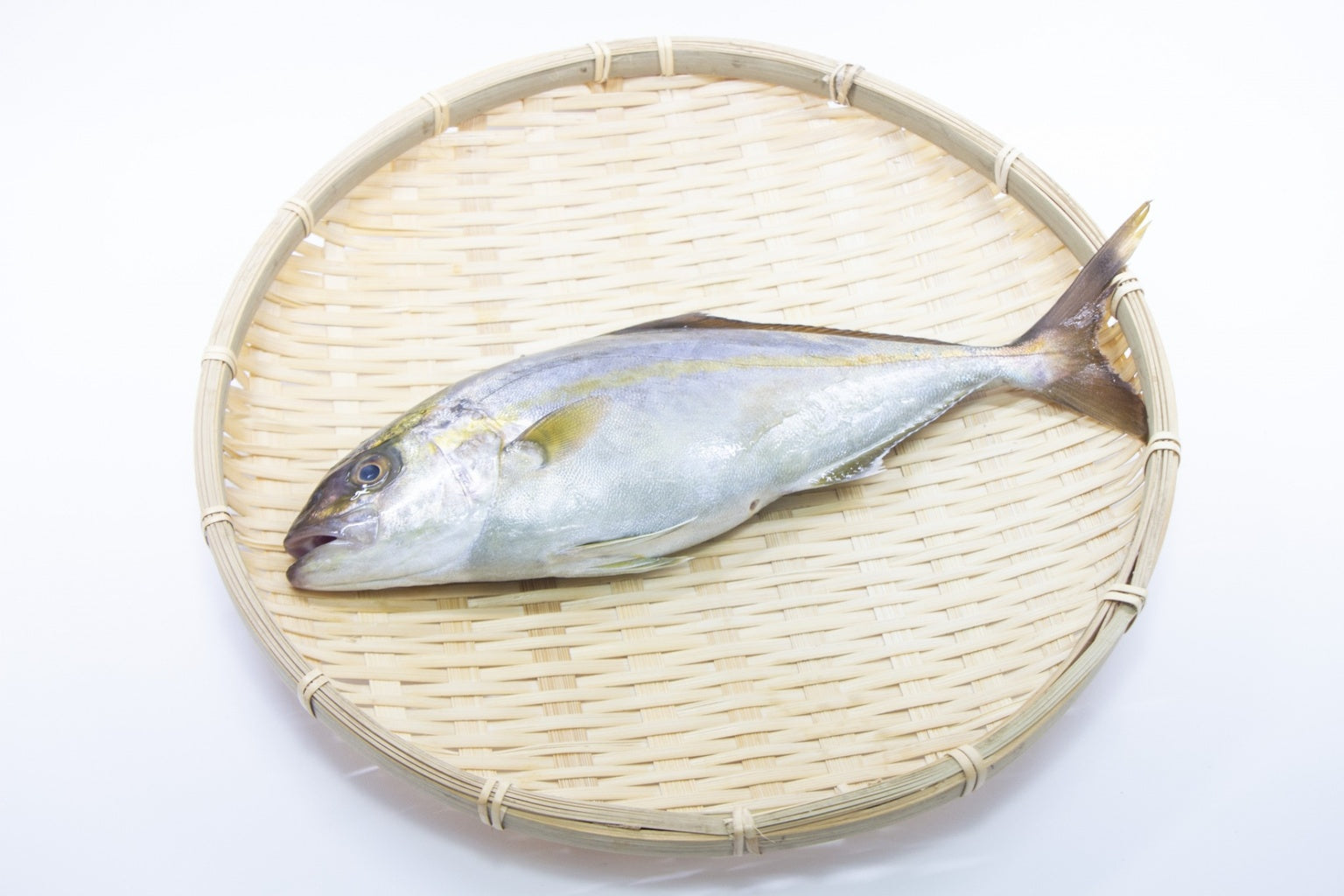 Tarumizu Kanpachi Kagoshima Japan – premium amberjack seafood from Tarumizu, Kagoshima