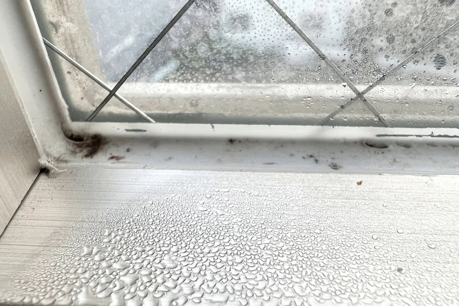 Window condensation with mold buildup in the corner of a humid room